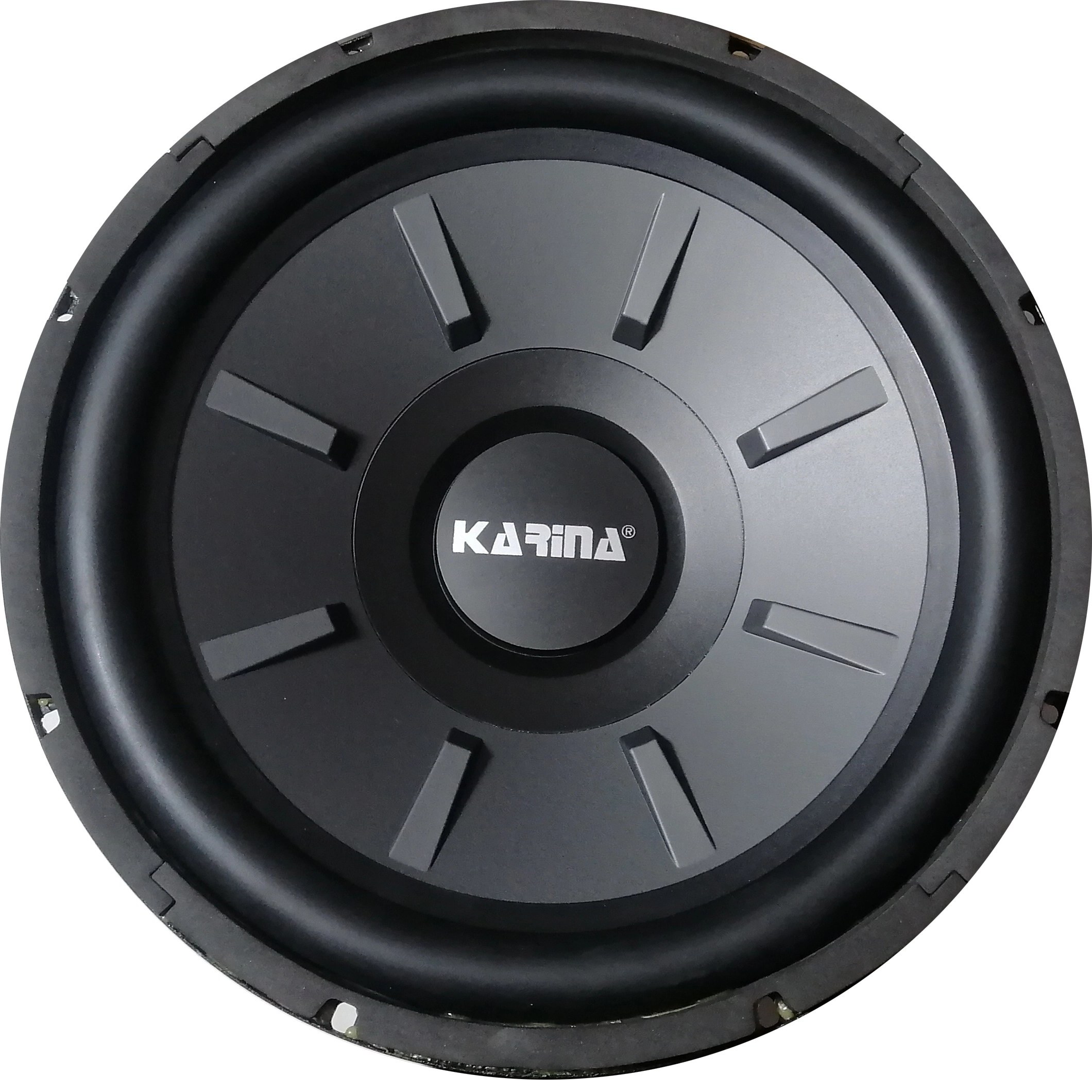 ساب ووفر 12 اینچ SK-1256 ساب ووفر 12 اینچ SK-1256